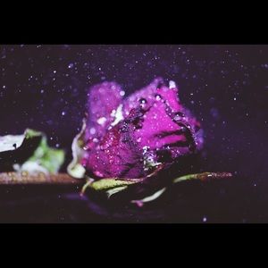 Meet your Posher, Jeannette